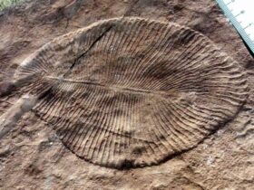 385bd6da298086d740937a633b26a7f2-2qg3lx.jpg